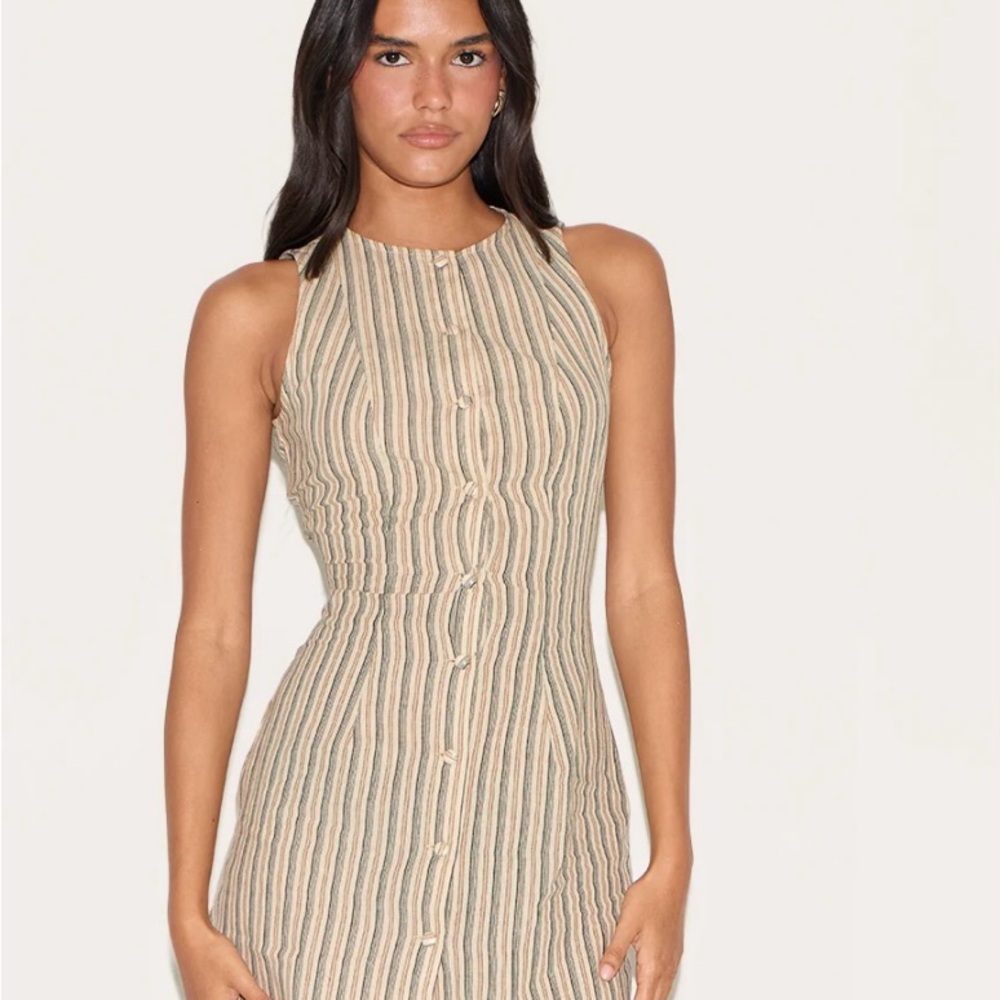 PLT STONE PINSTRIPE BUTTON DOWN SHIFT DRESS
